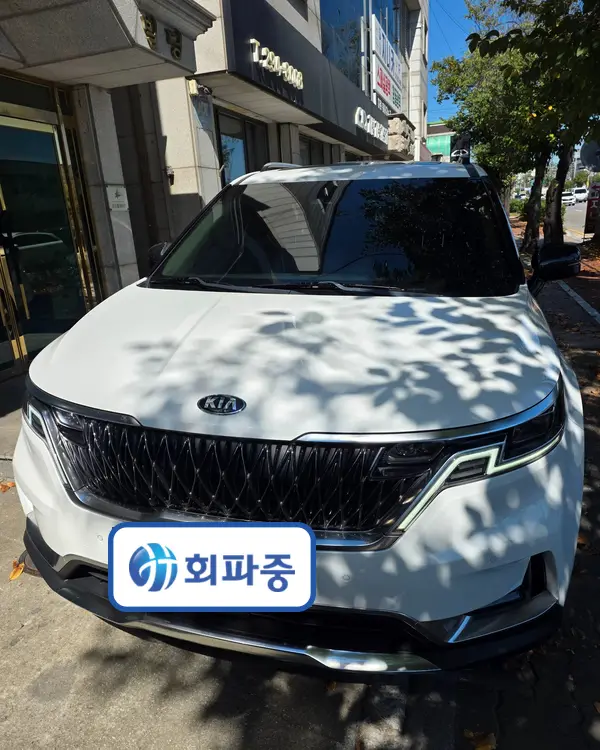 카니발 · 2020년식 출고 사진